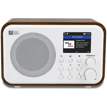 WiFi Internet Rádia WR-336N Přenosné Digitální Rádio s Dobíjecí Baterie Bluetooth Přijímač 2,4 Palcový Barevný Displej